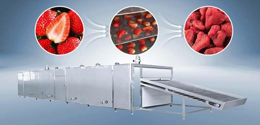 Fruit Dryer