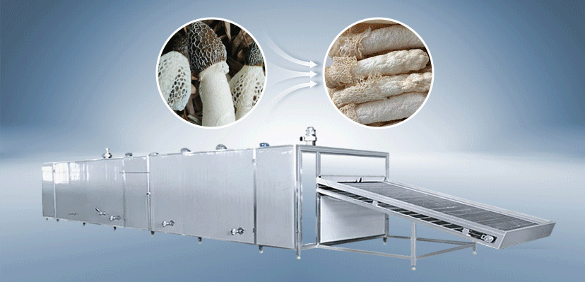 Mushroom Dryer Mushroom Dryer