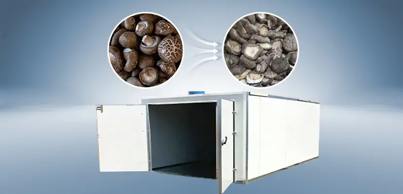 Mushroom Dryer