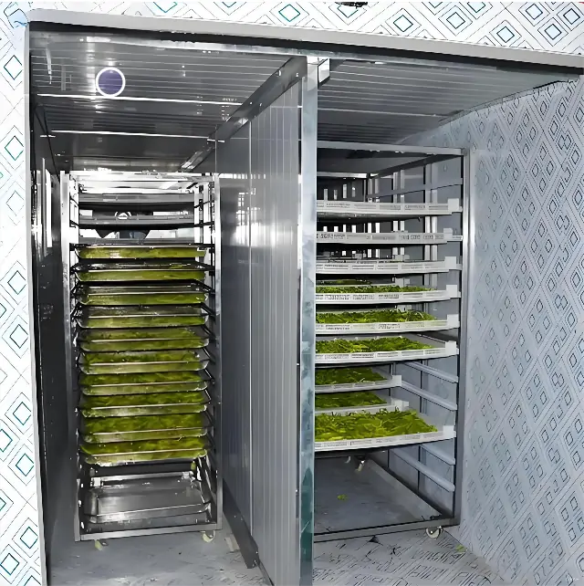 Dried Vegetable Result 1