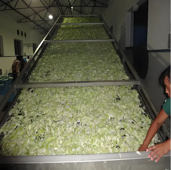 Dried Vegetable Result 3