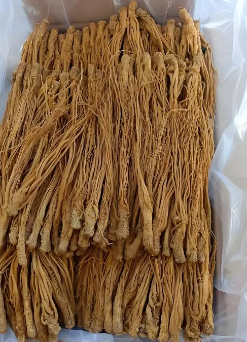 Dried Herb Display 2