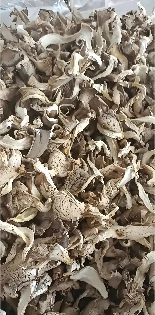 Mixed Dried Mushrooms
