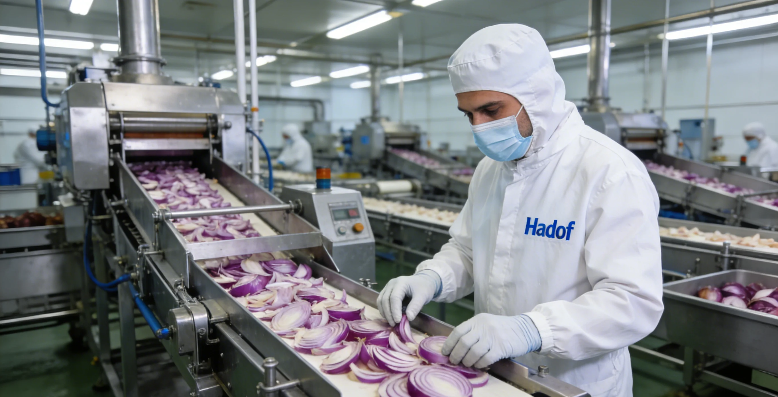 Onion Slice Production Case