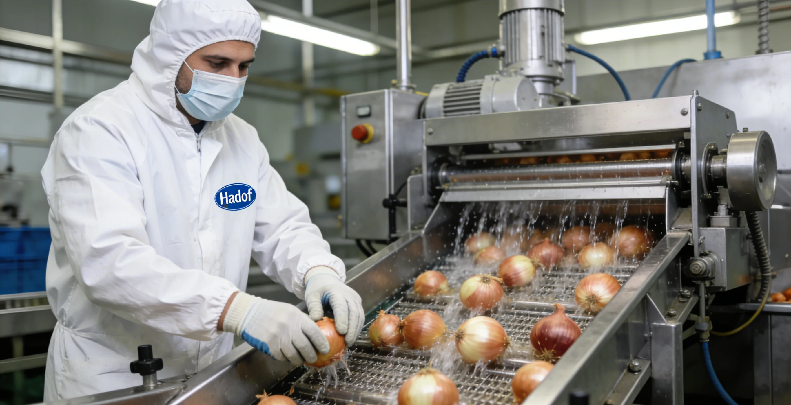 Onion / Carrot Washing