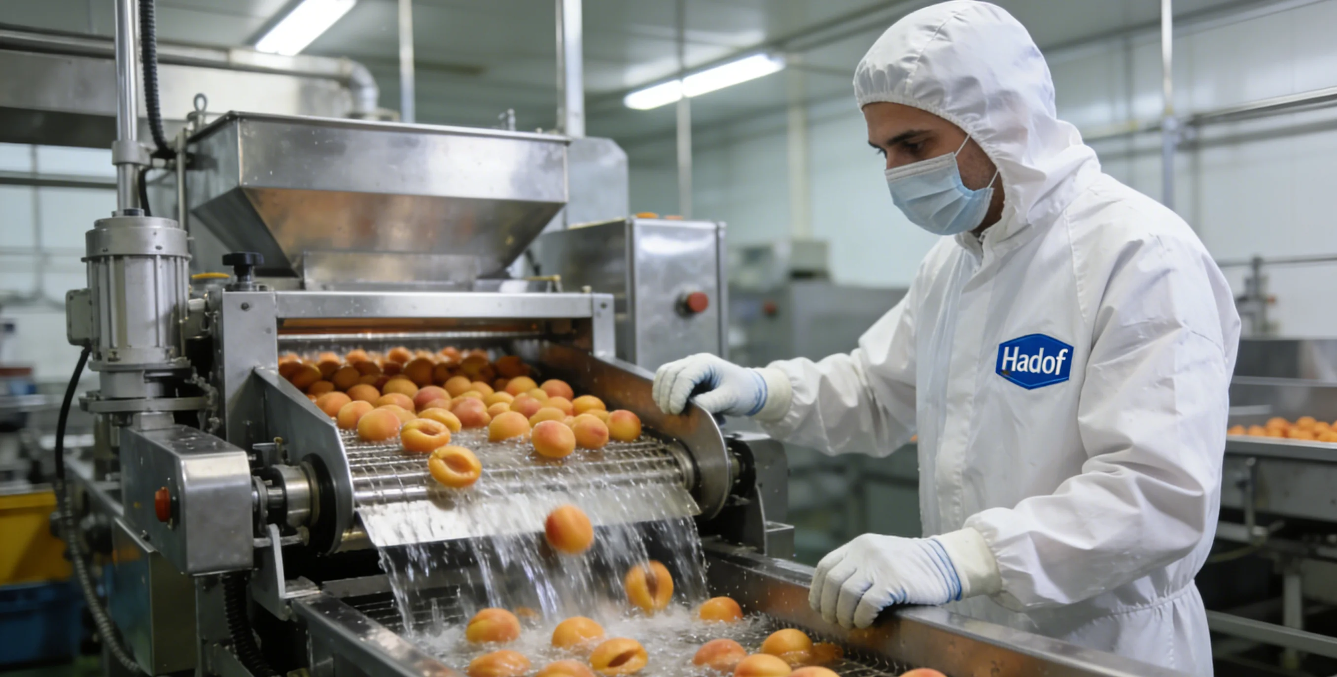 Potato / Sweet Potato Washing