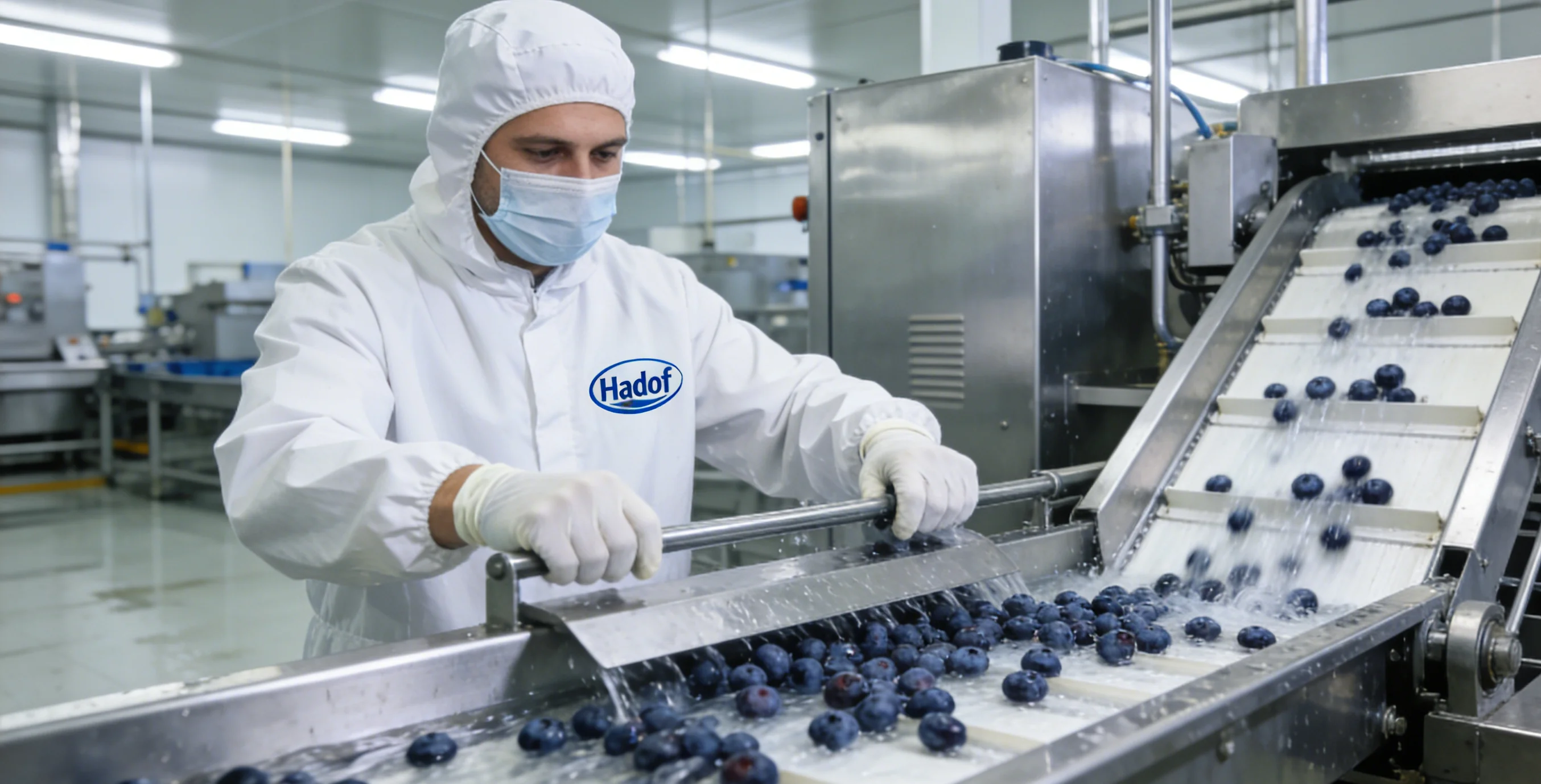 Nut / Dried Fruit Washing