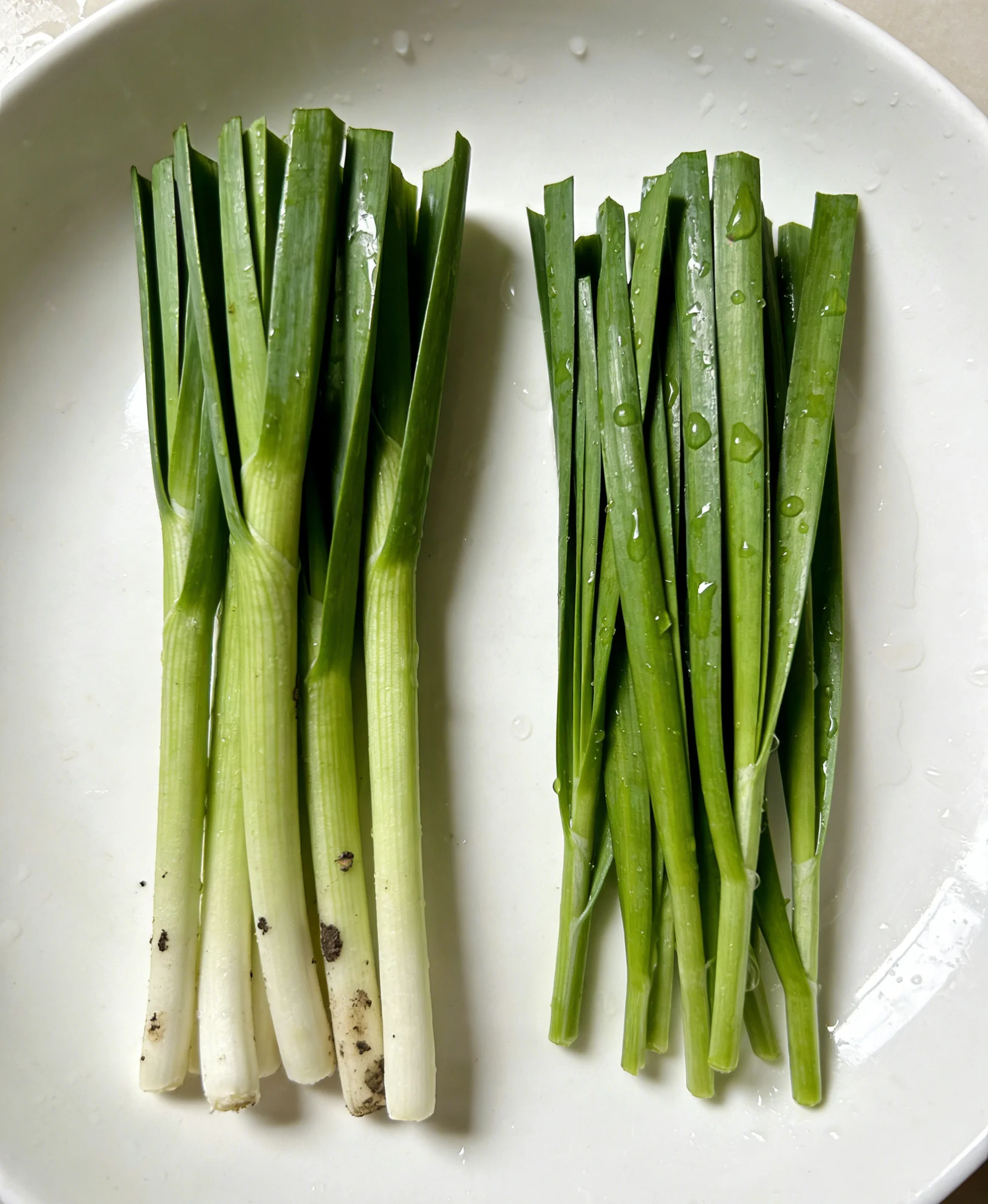 Chinese Chives & Cilantro Washing