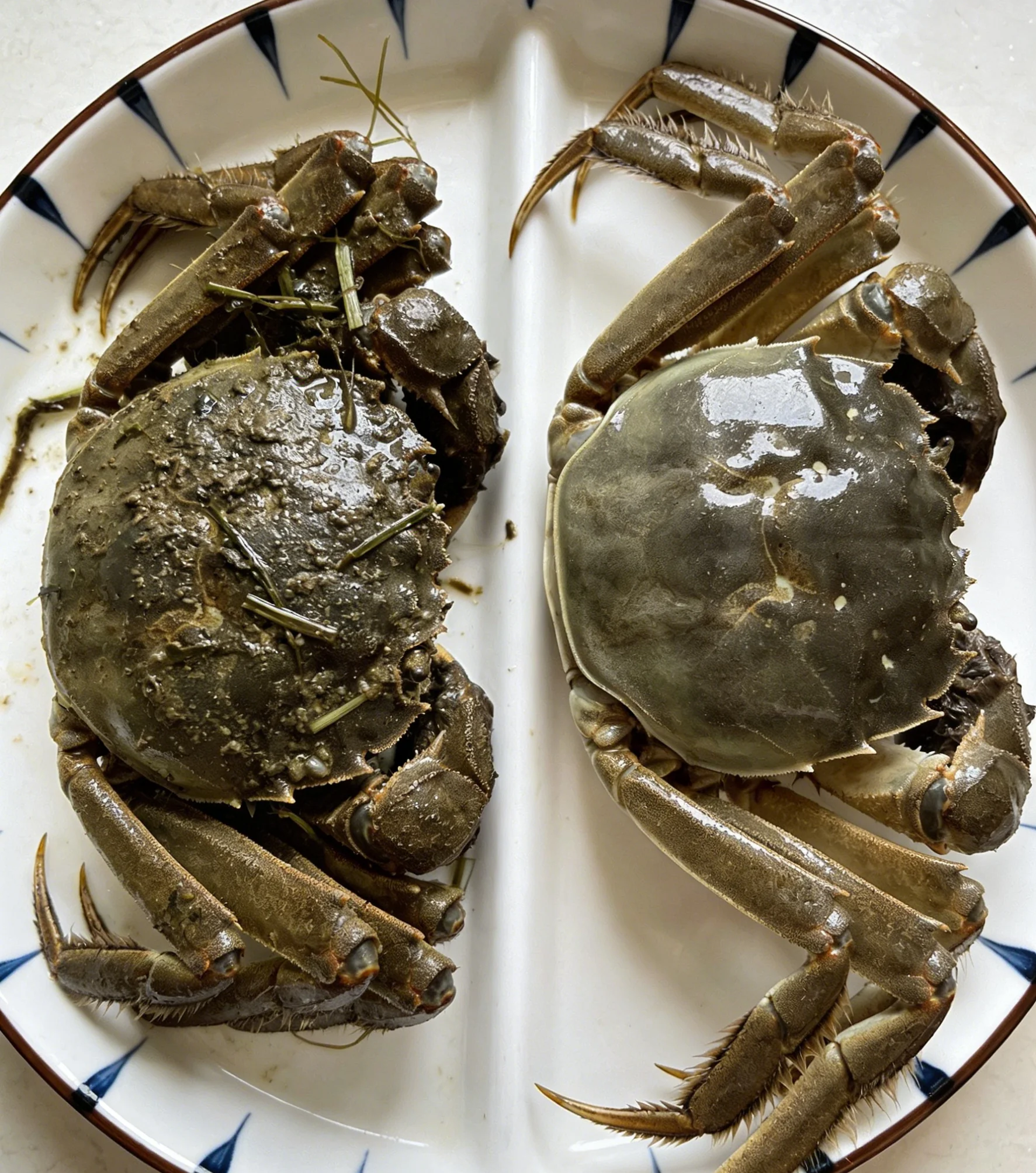 Cleaned Crab