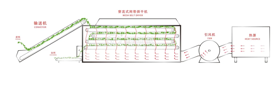 Vegetable Dryer Principle Diagram